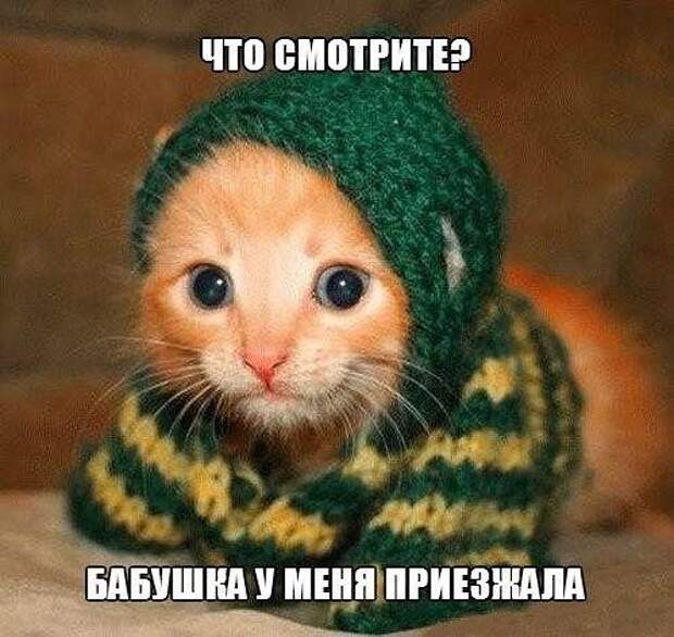 Субботний позитивчик (30 фото)