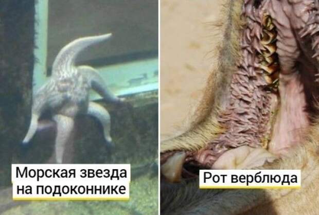 А можно и вообще не увидеть.
