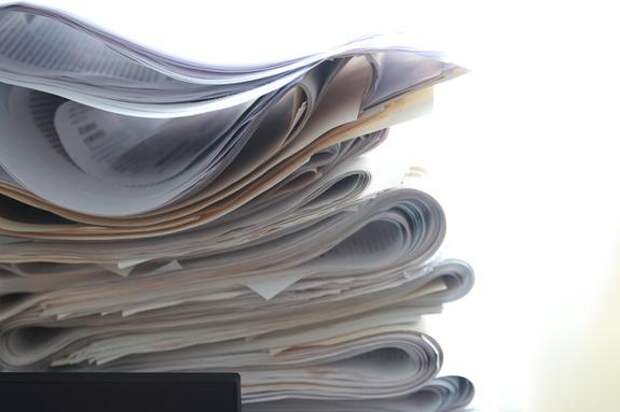 Студенты защитили экологические проекты перед экспертами Ленобласти