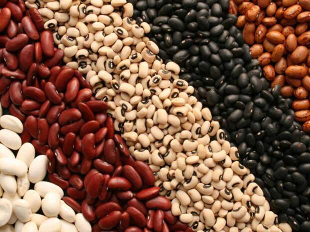 От каких продуктов пучит живот? Список газообразующих продуктов