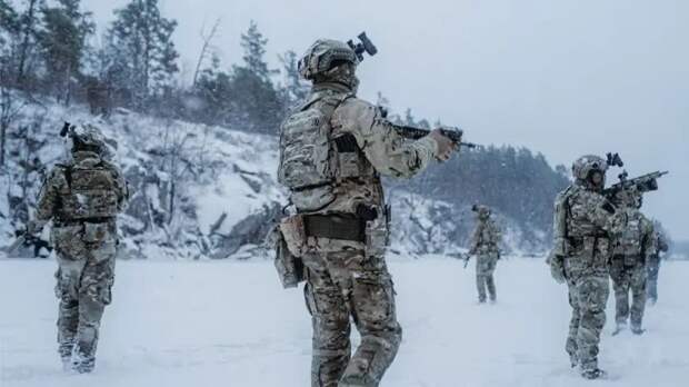 Взвод ССО Украины попал под удар «Торнадо-С» в Харьковской области