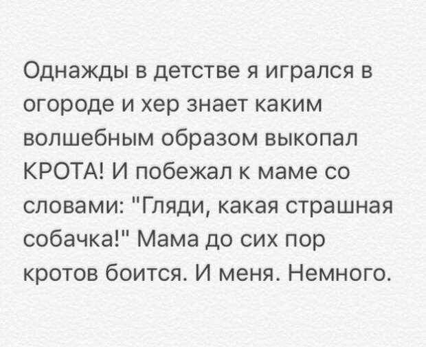 Смешные комментарии и высказывания из социальных сетей