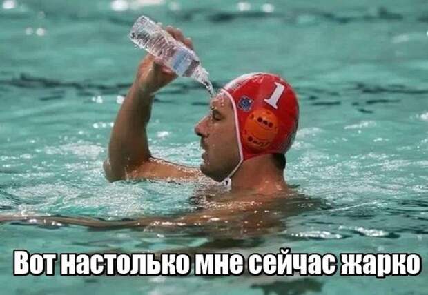 Прикольные картинки. Дневной выпуск (59 фото)