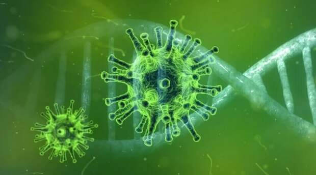 Ученые: коронавирус способен менять ДНК