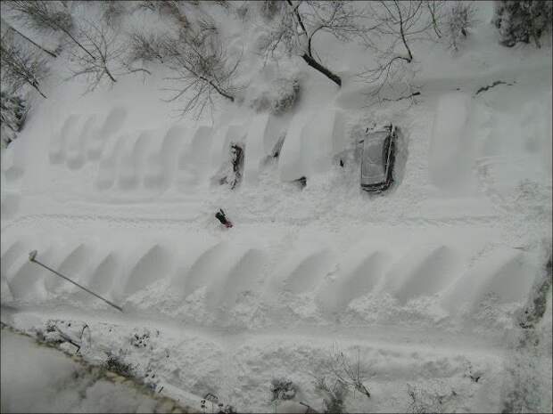 Зимняя забава - найди свою машину во дворе (20 фото)