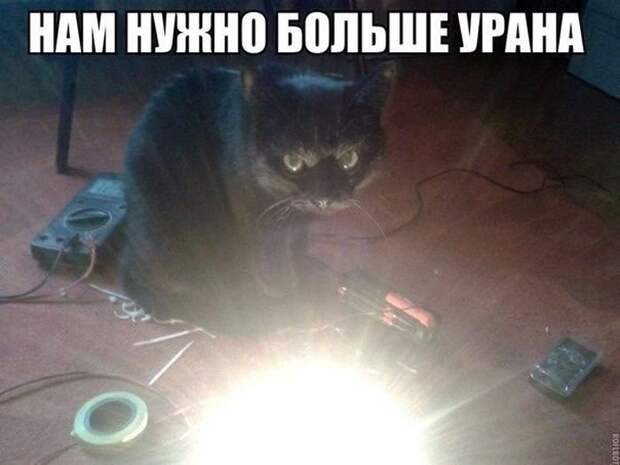 Фотоподборка вторника (55 фото)