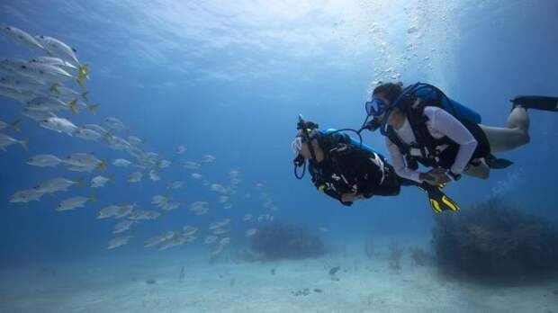 scuba diving lessons