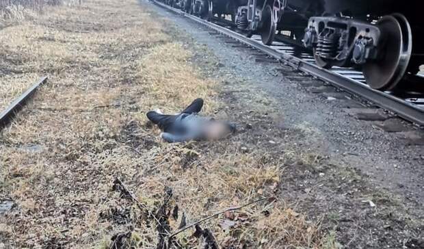 Подростка в наушниках насмерть сбил поезд в Нижегородской области