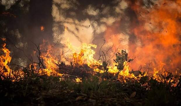 В Ростовской области потушены три природных пожара