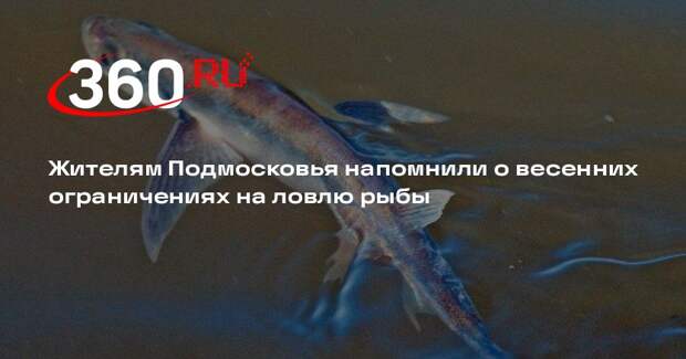 Жителям Подмосковья напомнили о весенних ограничениях на ловлю рыбы