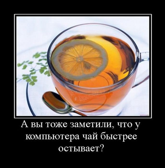 Демотиваторы (30 фото) Демотиваторы (30 фото)