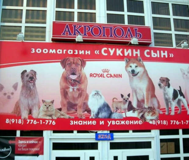 Жестко, правдиво и по существу. | Фото: Jacqueline blog. Жестко, правдиво и по существу. | Фото: Jacqueline blog.