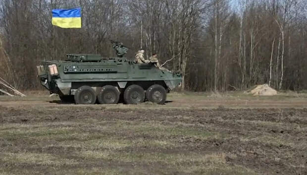 Солдаты ВСУ осваивают американские БТР "Страйкер". Кадр из видео