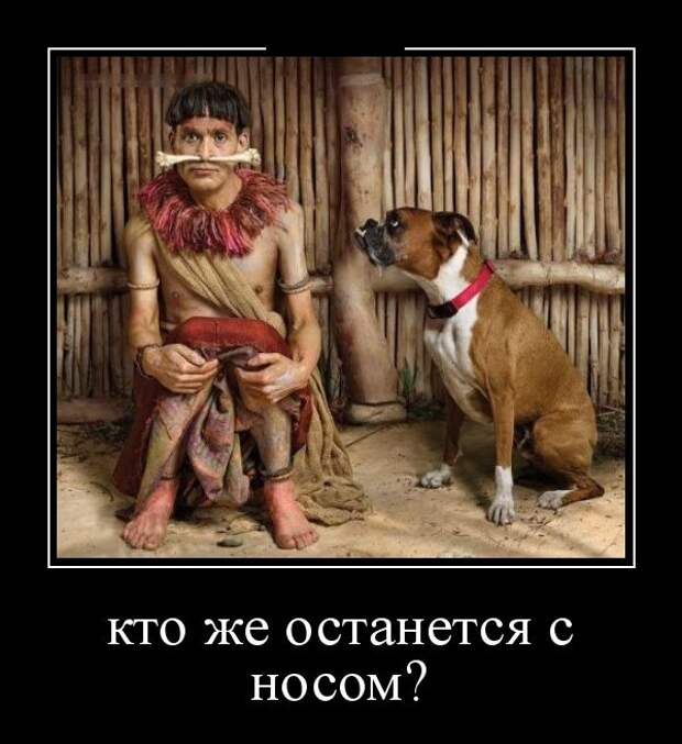 Демотиваторы (30 фото)