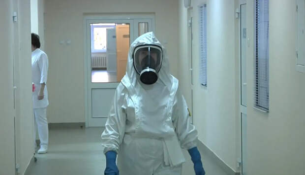 Новый вирус летучих мышей снова угрожает человечеству