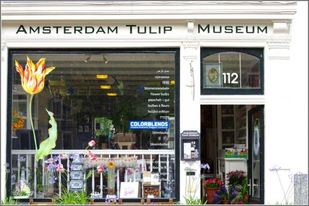 Музей тюльпанов в Амстердаме