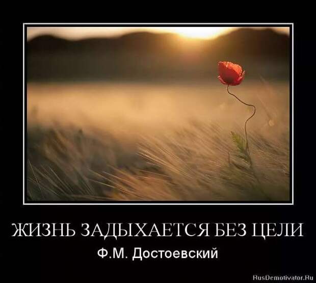 Прикольные демотиваторы с надписями. Подборка chert-poberi-dem-chert-poberi-dem-45300504012021-18 картинка chert-poberi-dem-45300504012021-18