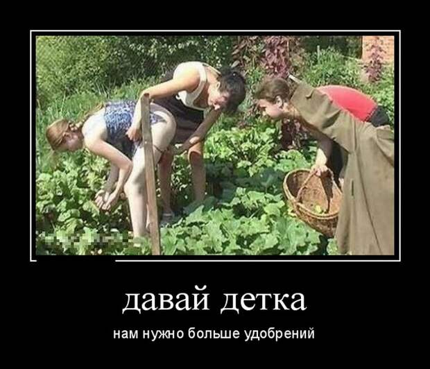 Демотиваторы (30 фото)