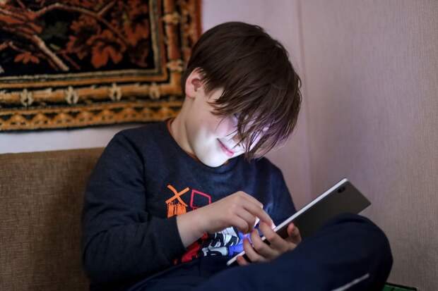 В Общественной палате обсудили актуальные угрозы для детей в интернете