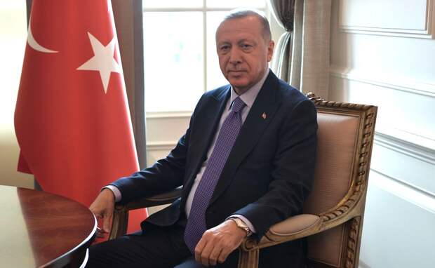 Журналистка, оскорбившая Эрдогана пословицей про “скот во дворце”, может сесть на 4 года