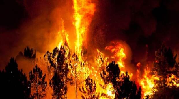 Причинами могут послужить молнии и засуха, но лесные пожары могут также быть результатом человеческой халатности.