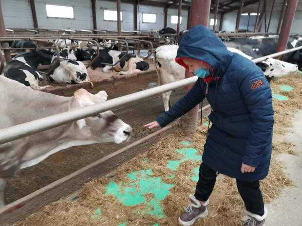 "Это безумие": Делягин заподозрил заговор олигархов. В Сибири убивают не только скот