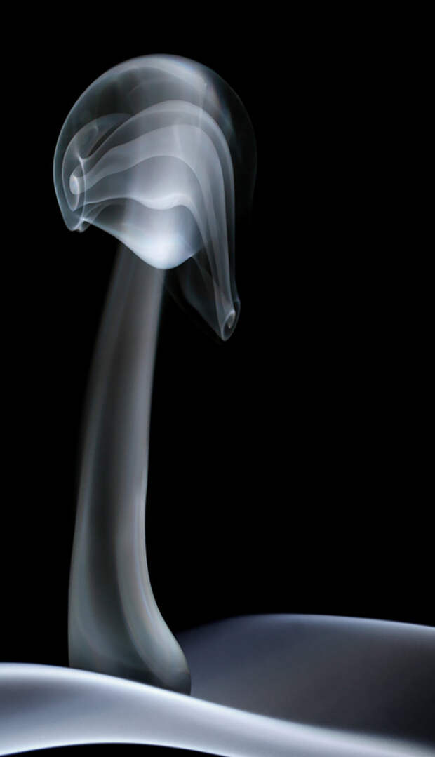 Фотография: Без фотошопа (часть 3) №16 - BigPicture.ru