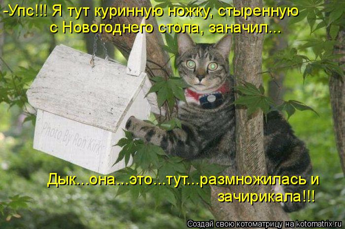 e6363e960990e3a127784c4549cce30a (700x466, 350Kb)