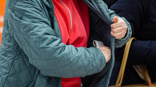 Кража остается самым распространенным преступлением в России