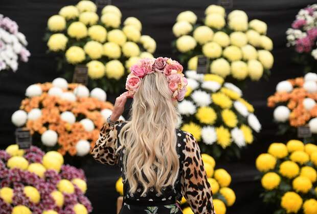 Цветочная выставка садов и цветов Chelsea Flower Show 2021