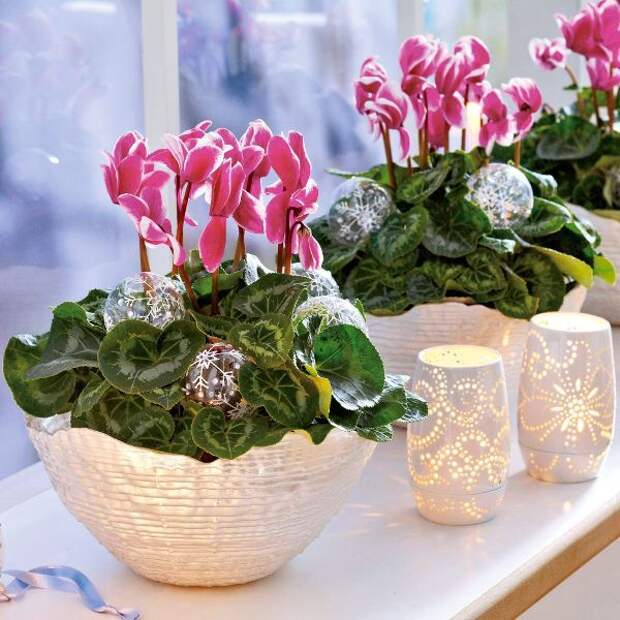 home-flowers-in-new-year-decorating