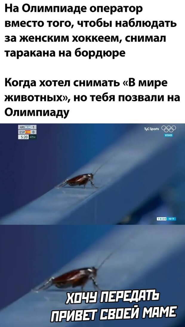 Смешные картинки вечер 29 июля 2021