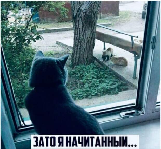 Мемы и приколы про &quot;это&quot;