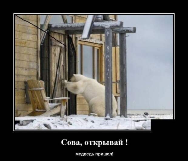 demotivatory-demotivator-smeshnye-demotivatory-demotivator-so-smyslom