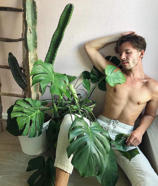 Популярный Instagram-аккаунт с полуголыми мужчинами и растениями