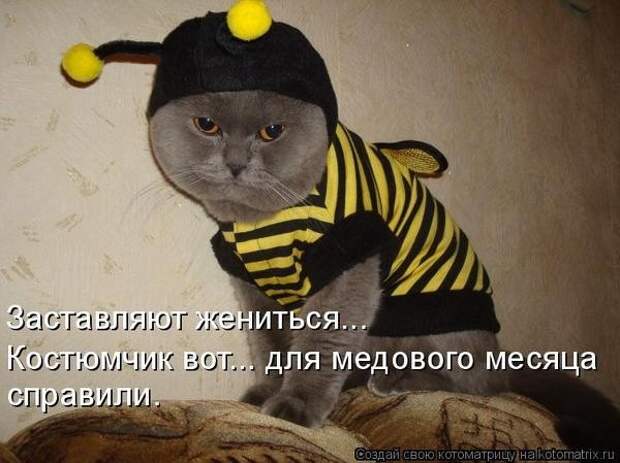 Забавные животные :)
