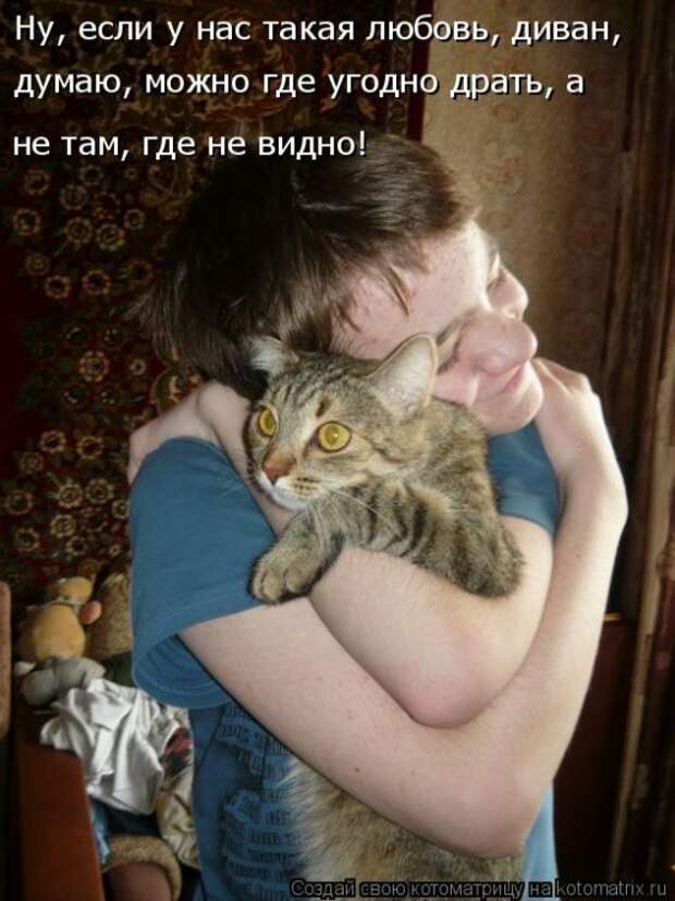 Лучшие котоматрицы недели (50 фото)