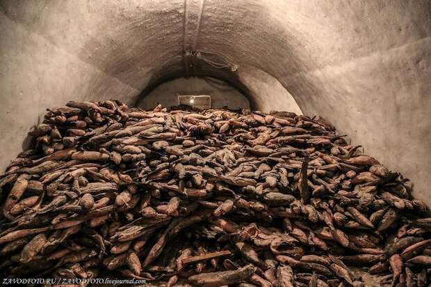 Блог - Ямальский мерзлотник — крупнейший природный холодильник в мире, где можно заблудиться Ямальский мерзлотник — крупнейший природный холодильник в мире, где можно заблудиться