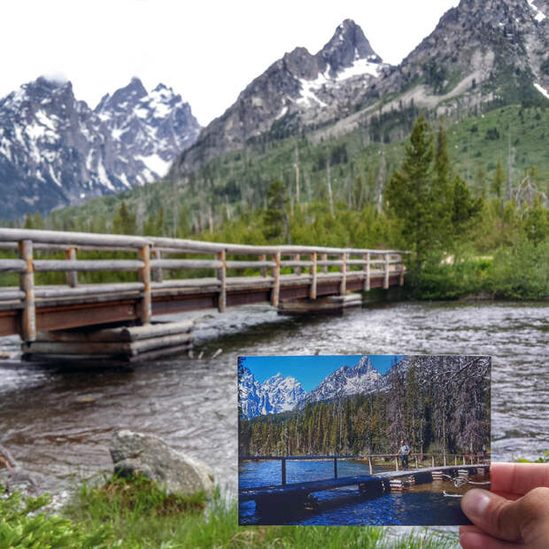 1973 и 2016 годы. 1973 и 2016 годы.