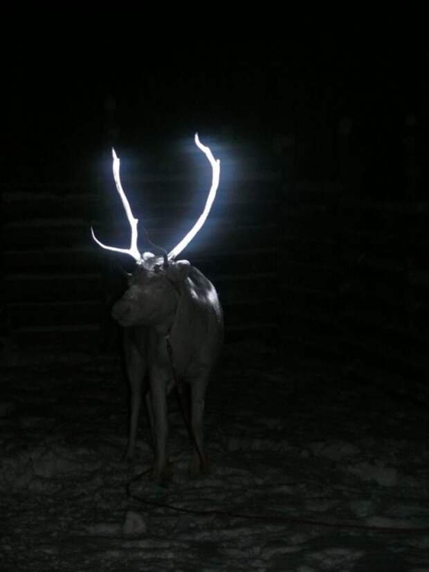 Блог - 15 восхитительных примеров того, насколько продуманная в Финляндии жизнь 15 восхитительных примеров того, насколько продуманная в Финляндии жизнь