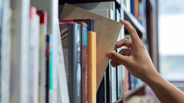 Издательство, выпустившее «Лето в пионерском галстуке», объявило о закрытии