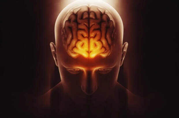 Lancet: после инсульта мозг может молодеть в некоторых зонах