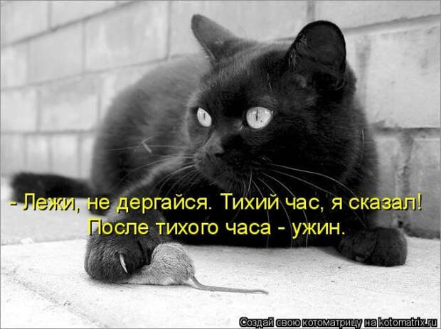 4b8738 (640x478, 141Kb)