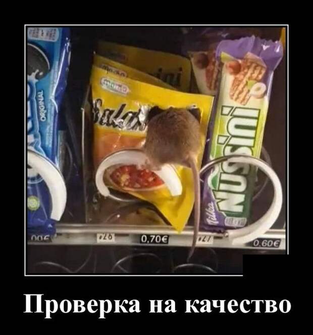 demotivatory-demotivator-smeshnye-demotivatory-demotivator-so-smyslom