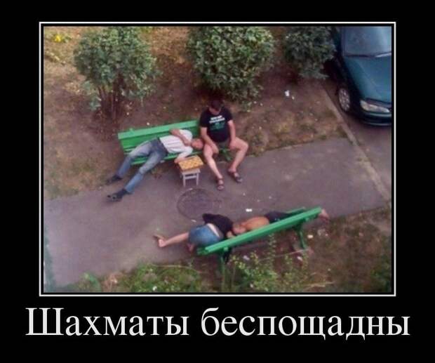 Улыбательные демотиваторы Улыбательные демотиваторы