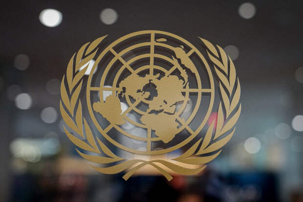 Россия и Китай в СБ ООН выступили против проекта США по работе Совбеза