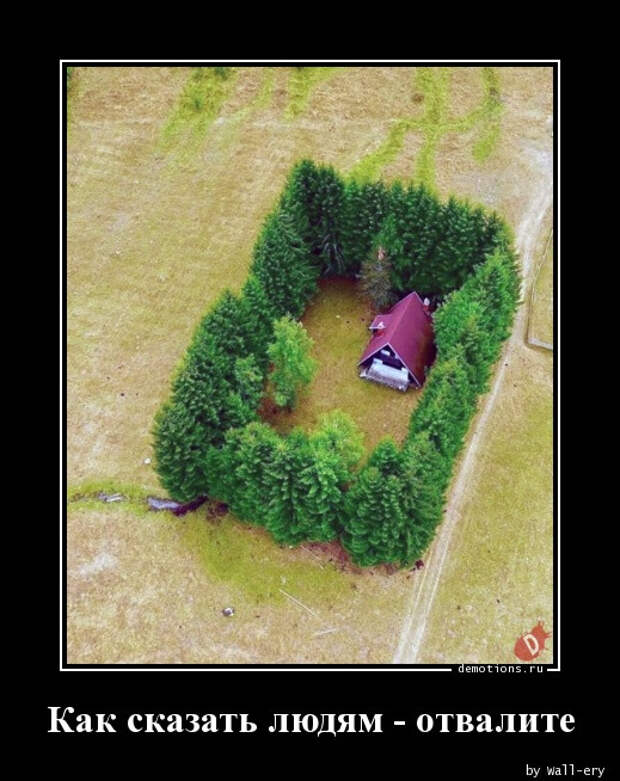 Демотиваторов пост: «Встретив медведя в лесу…» (15 фото)