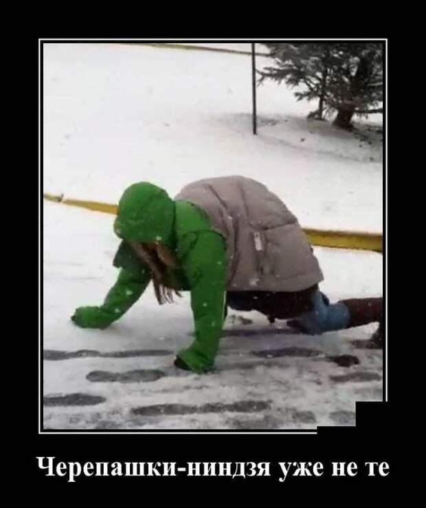 Демотиваторы (30 фото)