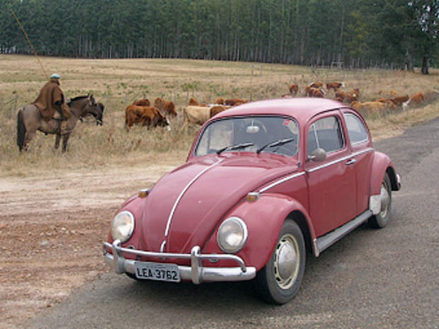 VW Beetle 1987 года. Фото thesamba.com
