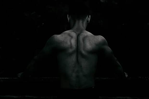 Какая мышца в человеческом теле является самой сильной? Претендентов несколько